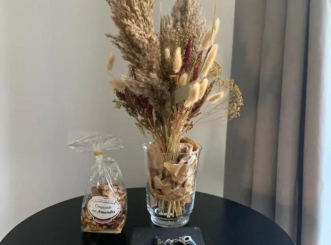 Le Kocon, Dans Un Ecrin, Le Calme A La Apartment *